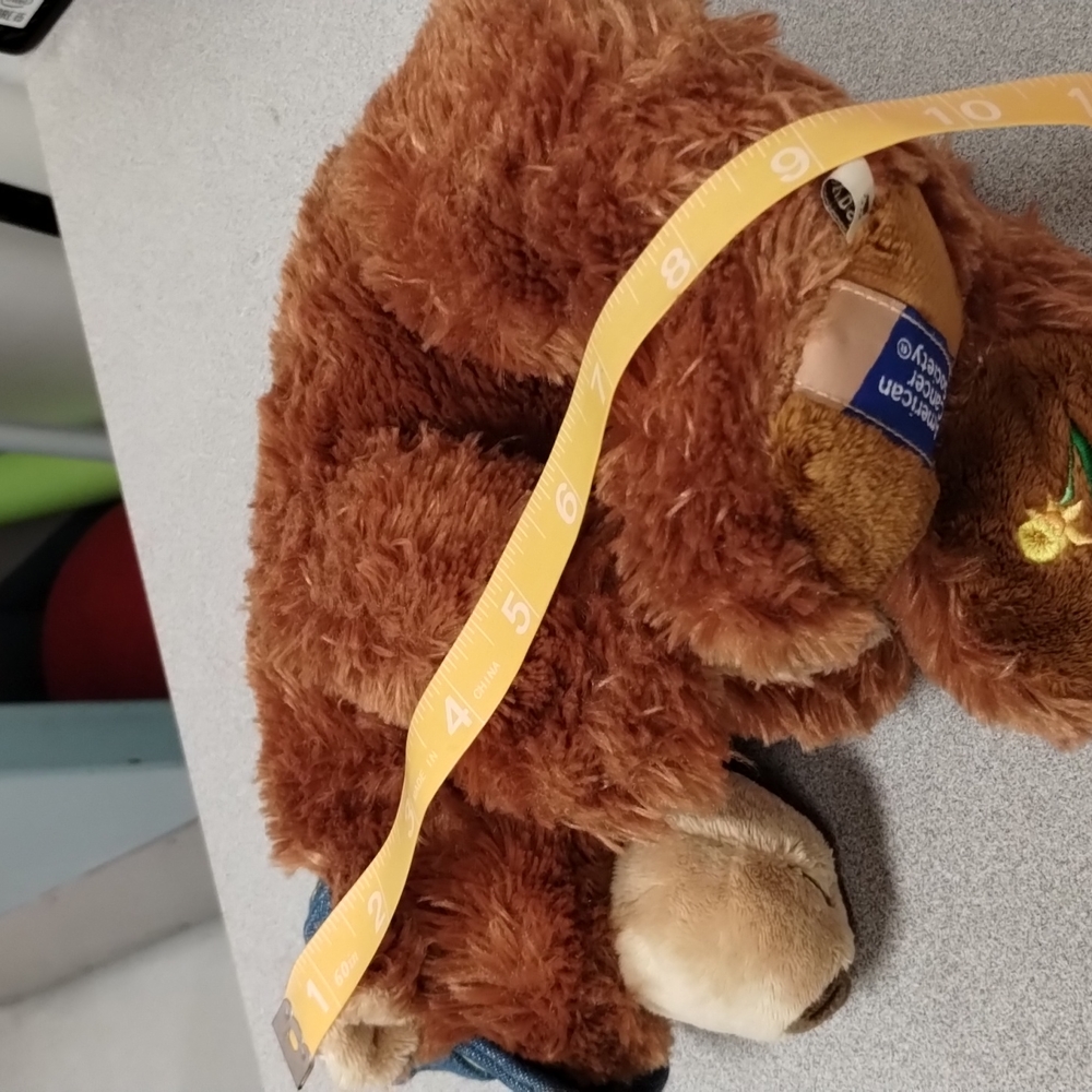 βBoyds Special Edition American Cancer Society Daffodil Days Teddy Bear Plush - Picture 14 of 14